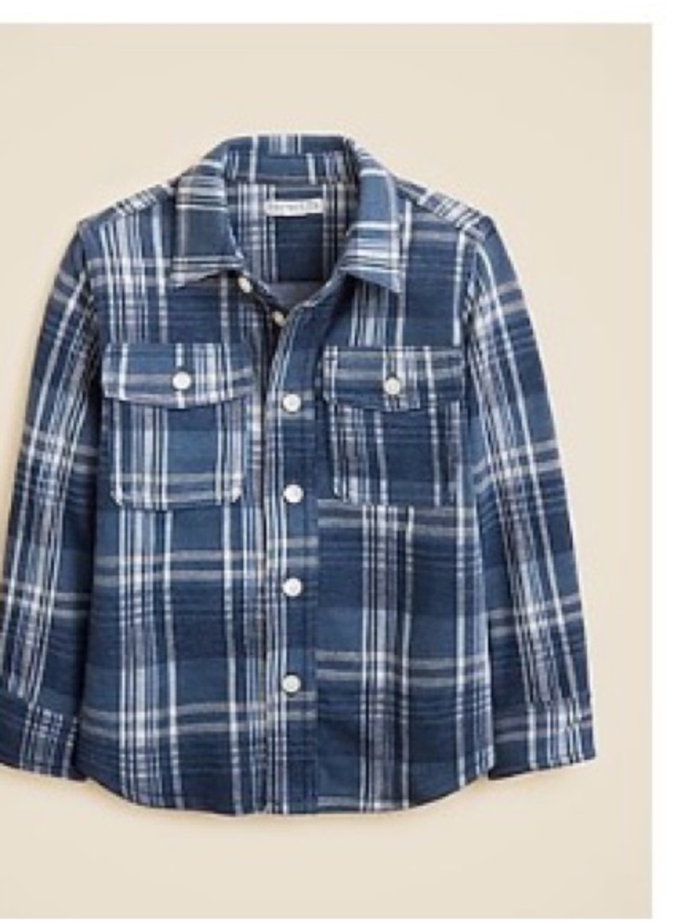 Crewcuts Navy & White Plaid Button-Down Shirt
